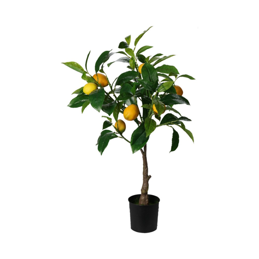 LEMON TREE IN POT 70CM