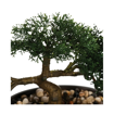 Διακοσμητικά σπιτιού γλάστρα bonsai H23cm